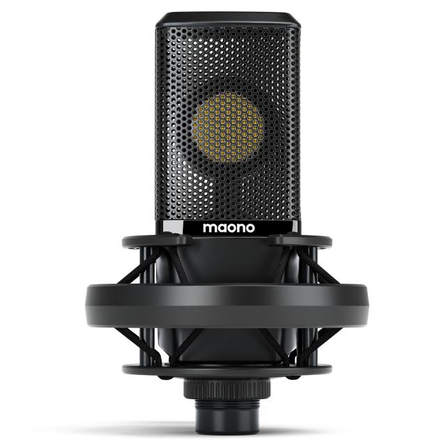 Microfono professionale a diaframma largo AU-PM500