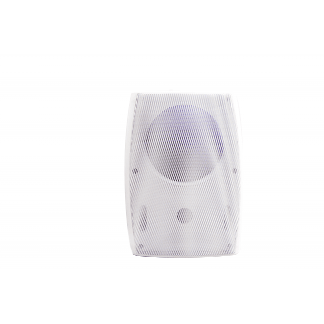 6” Passive Speaker for Lo-Z and 70 V / 100 V distributed lines