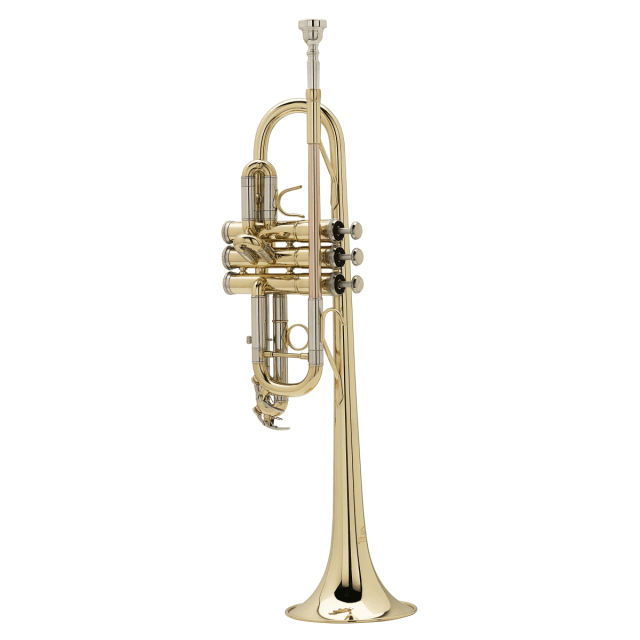 c trumpet in gold lacquered finish