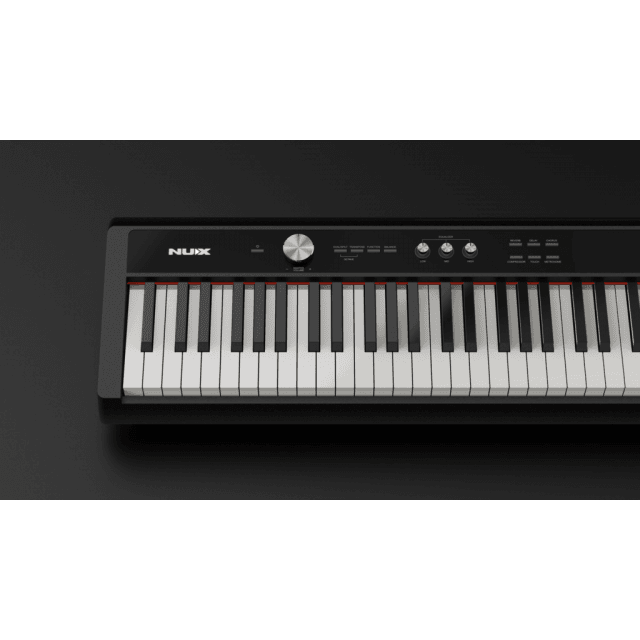 Portable digital piano (black finish)