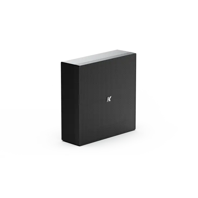 Subwoofer Passivo Ultrasottile da 10" per Ambienti di Architettura, 8 Ohm