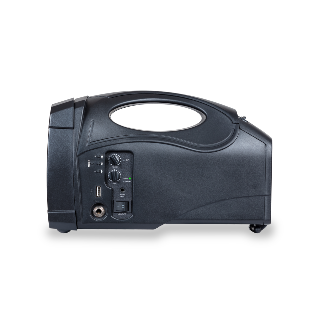 Personal PA System with UHF Wireless Microphone