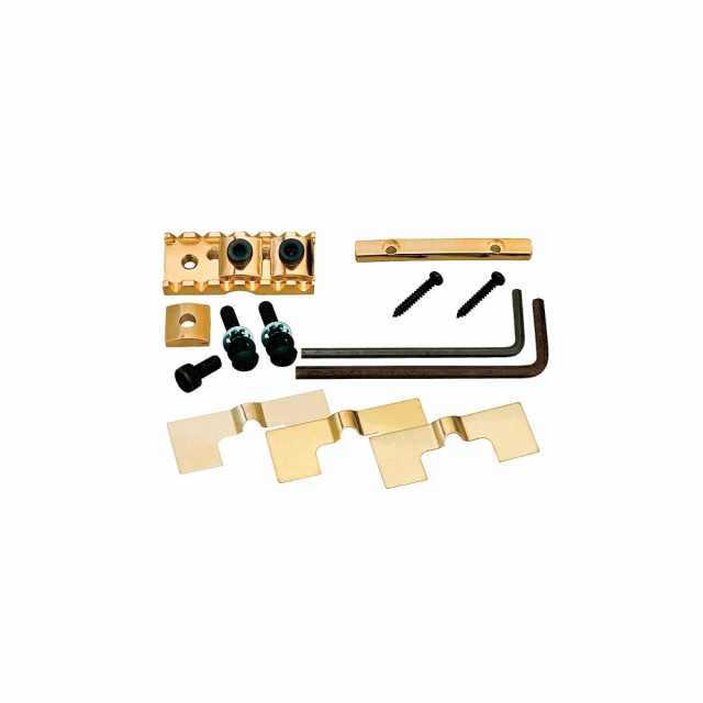 Tremolo Bridge Floyd Style Gotoh (Gold)