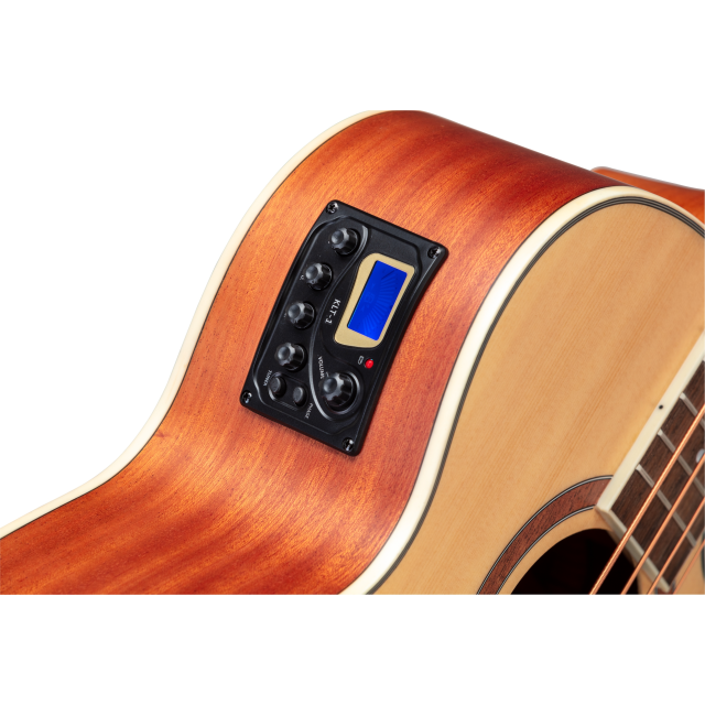 Cutaway acoustic bass with preamp
