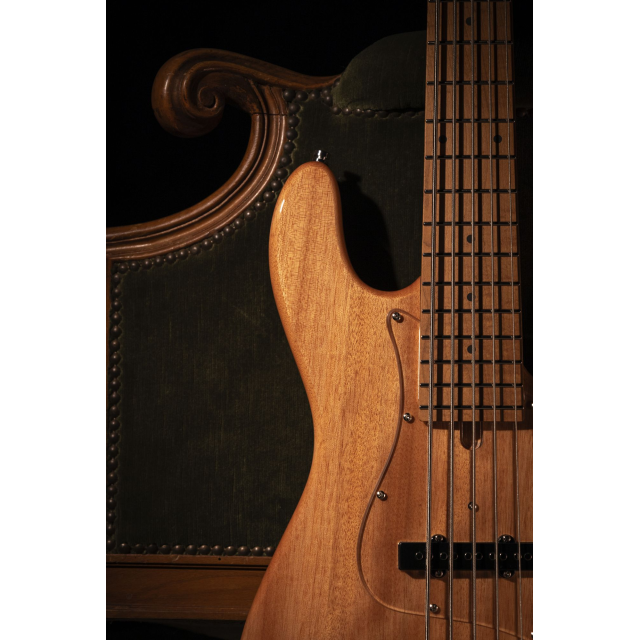 Electric bass with roasted maple freboard and neck (5 strings)