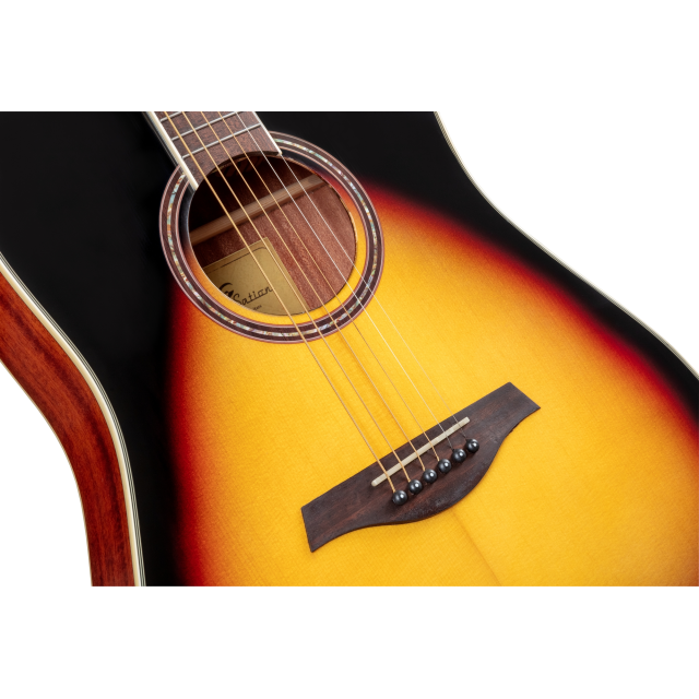 Cutaway acoustic guitar with preamp