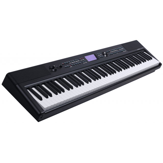 Professional stage piano