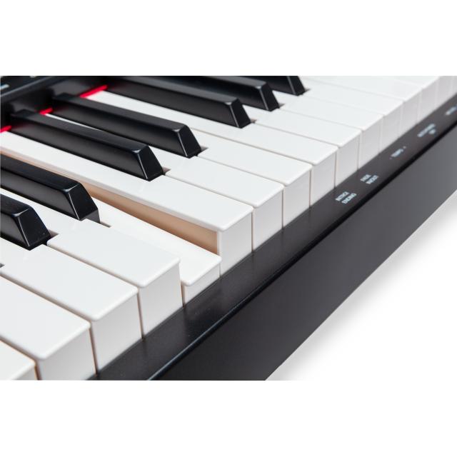 Digital piano with 88 Hammer Action keys