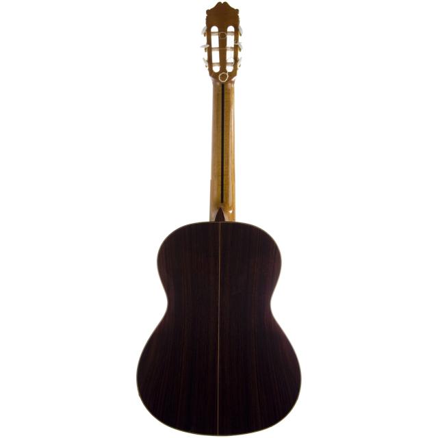 Professional classical guitar