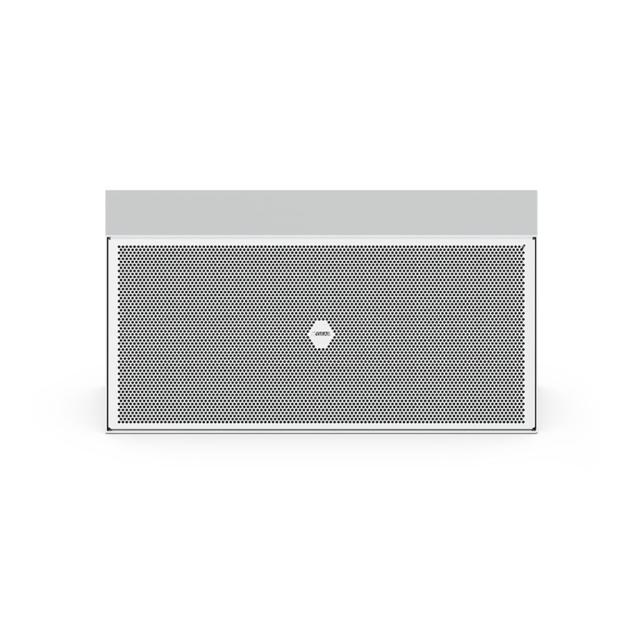 Subwoofer passivo ultra compatto da 10" con radiatore (colore bianco)