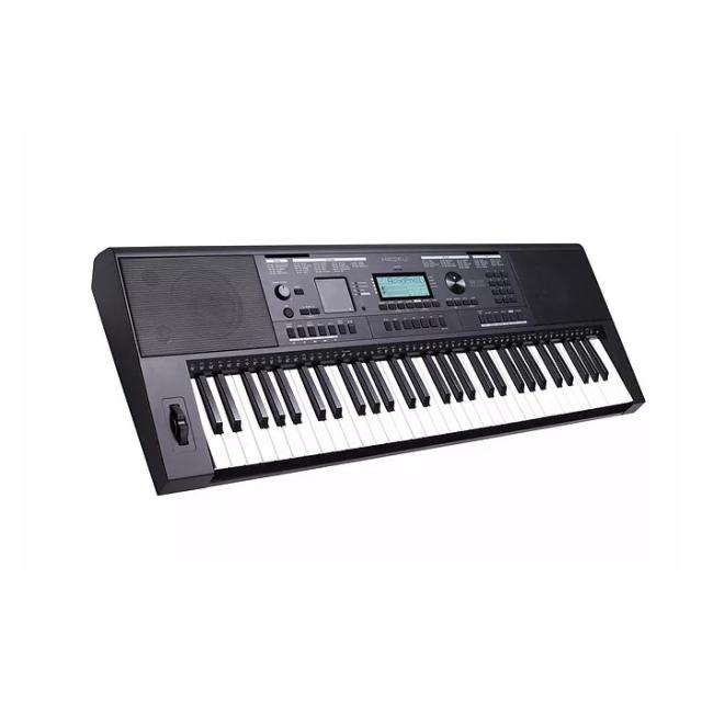 Lightweight 61-key "Touch response" portable arranger keyboard with high quality styles and sounds and SD audio player.