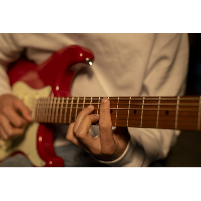 Electric guitar with 2 single coils + splittable humbucker and self-locking tuners (Wilkinson equipped, roasted maple neck)