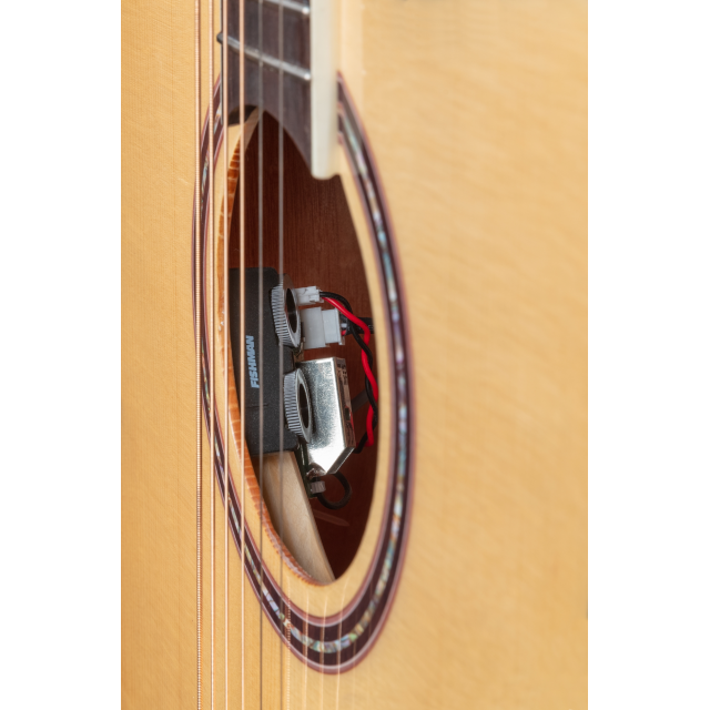 Cutaway acoustic guitar with preamp