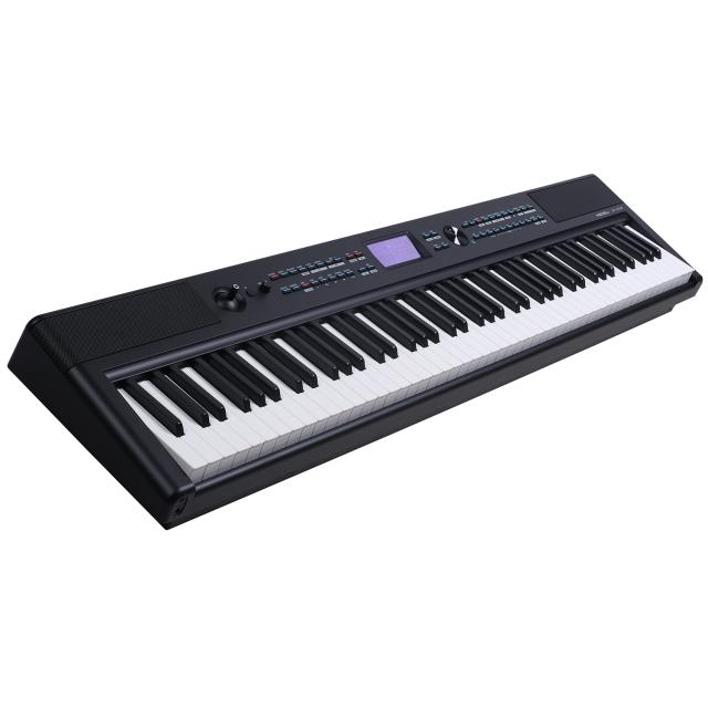 Piano Digitale professionale