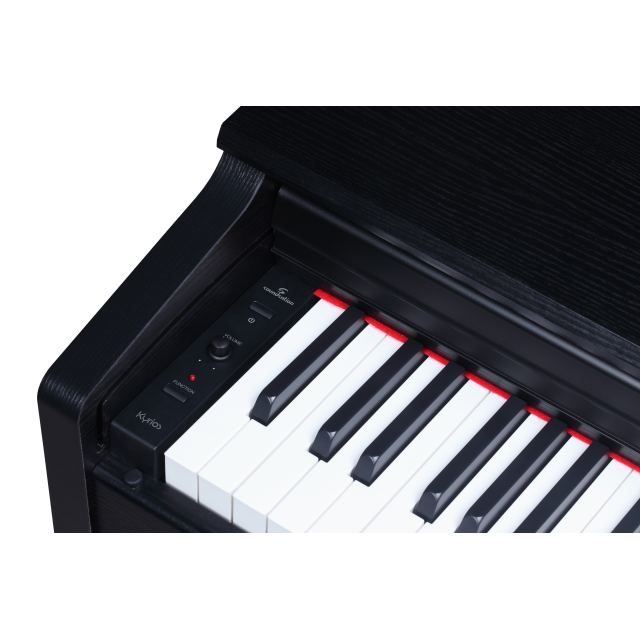 Home Digital Piano with hammer action keys