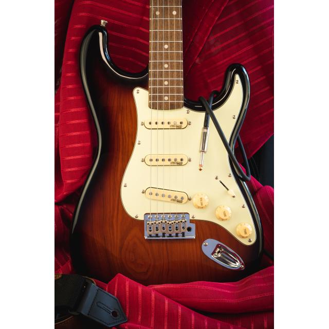 Double cutaway electric guitar with 3 single coils and vintage tuners (Wilkinson equipped, eco-rosewood fretboard)