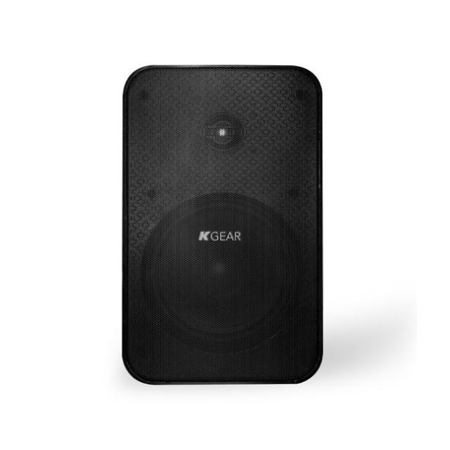 6.5" Two-Way Full-Range Passive Speaker (Black)