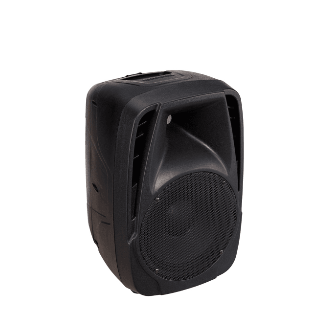 Sistema Pa 2x100W portatile con mixer attivo e due diffusori passivi a 2 vie