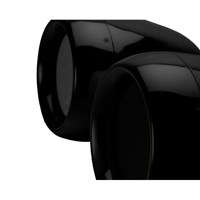 Passive coaxial loudspeaker with double 10" drivers (black)