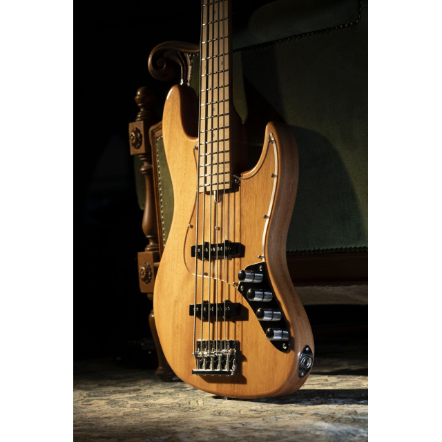 Electric bass with roasted maple freboard and neck (5 strings)