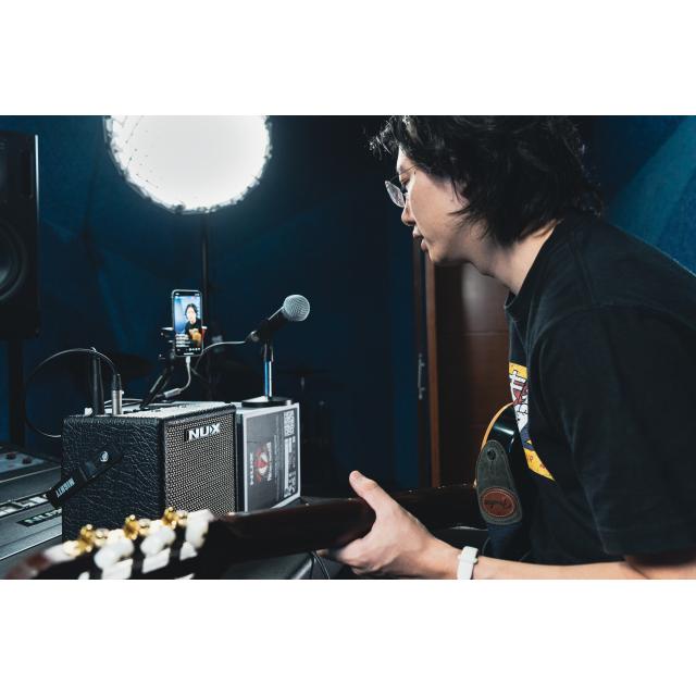 Portable combo for guitar and bass