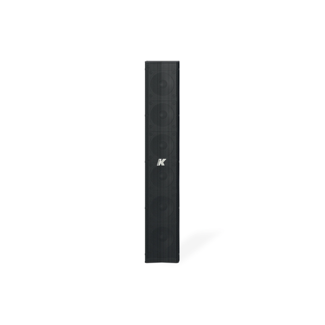 Line Array Passivo con 6 Trasduttori da 3", Impedenza Selezionabile e Tecnologia "PAT" (Nero)