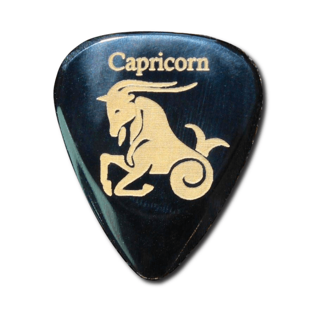 1 Plettro con segno zodiacale "Capricorno"