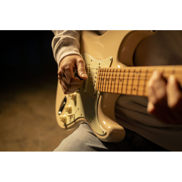 Chitarra elettrica con 2 single coil + humbucker splittabile e meccaniche autobloccanti (equipaggiata Wilkinson, tastiera e manico in acero roasted)