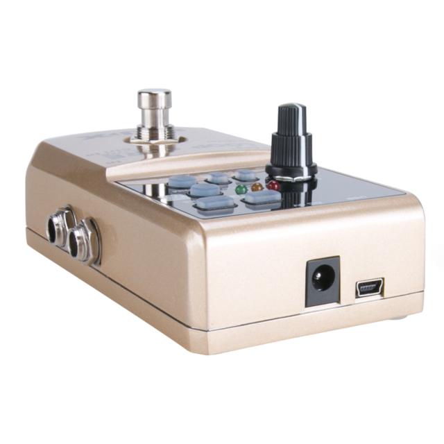 Loop Core Deluxe + NMP2 Lite Dual footswitch