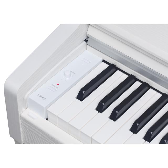 Piano Digitale Verticale Entry-Level