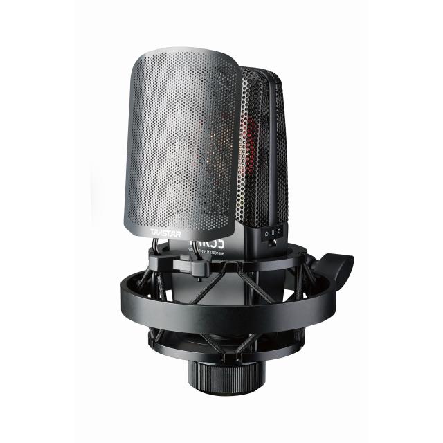Multipattern Gold Capsule Studio Recording Microphone