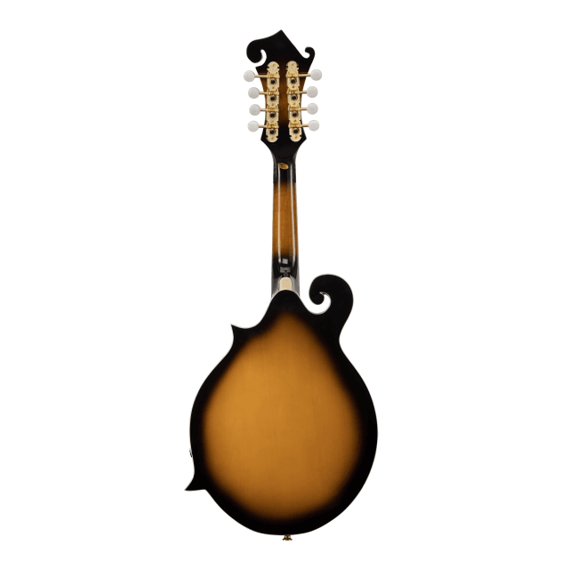 Bluegrass mandolin plywood spruce top