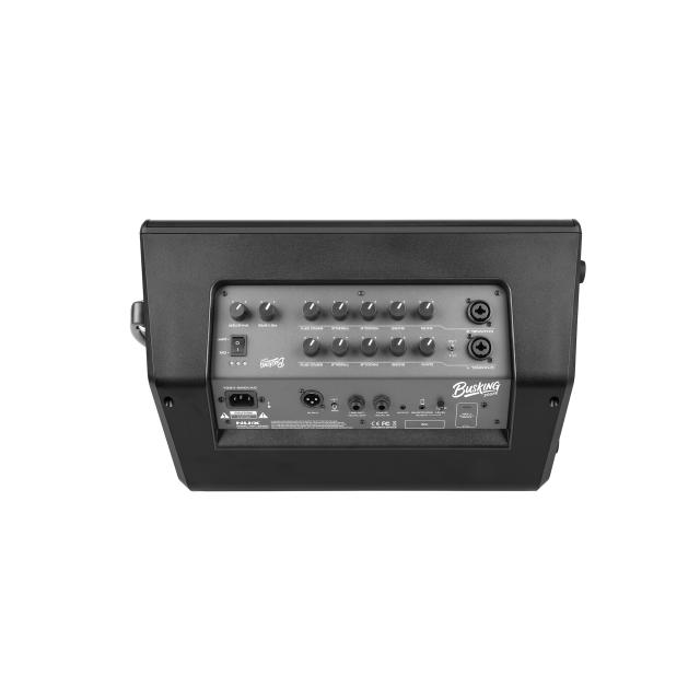 Busking speaker