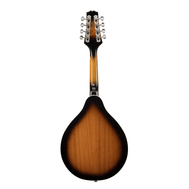 Electric bluegrass mandolin feauturing plywood spruce top