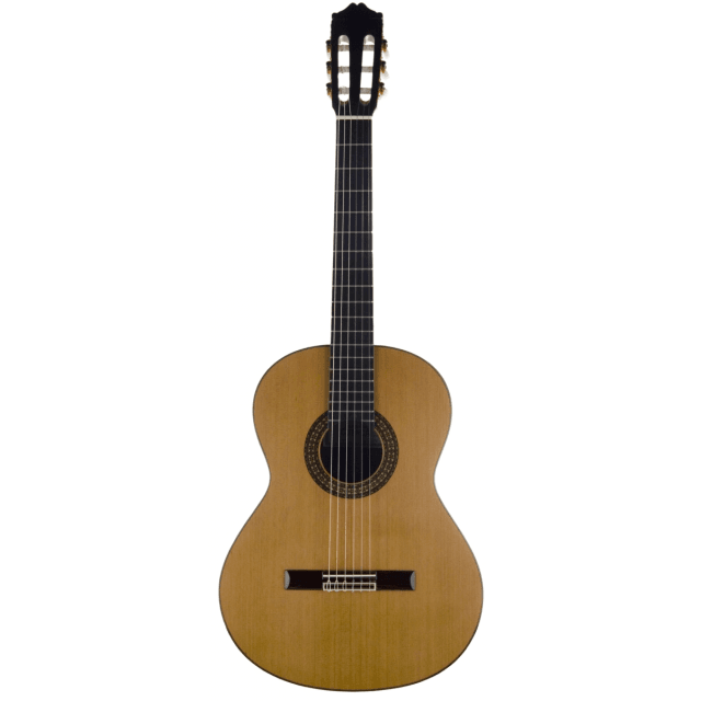 Classical guitar