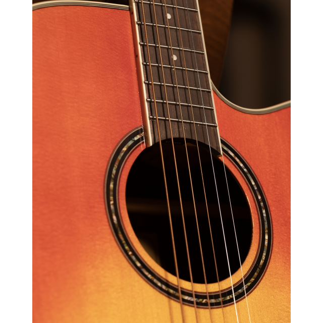 Cutaway acoustic guitar with preamp