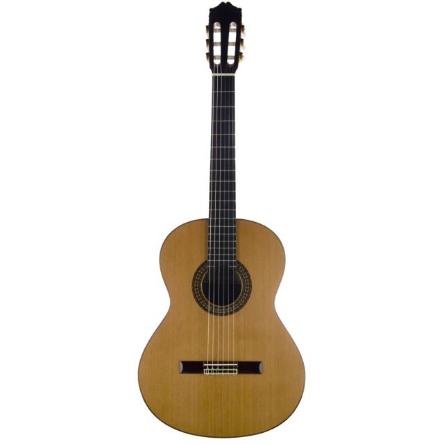Classical guitar