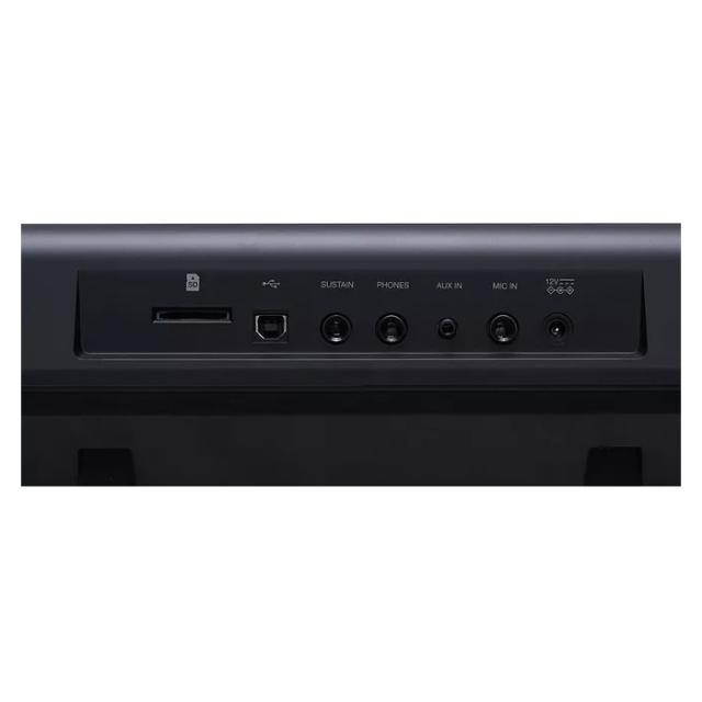 Lightweight 61-key "Touch response" portable arranger keyboard with high quality styles and sounds and SD audio player.