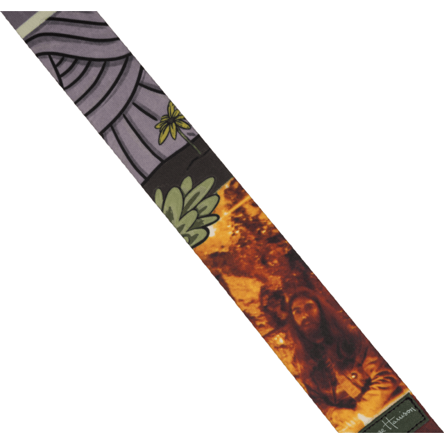 George Harrison All Things Must Pass Friar Park MultiColor