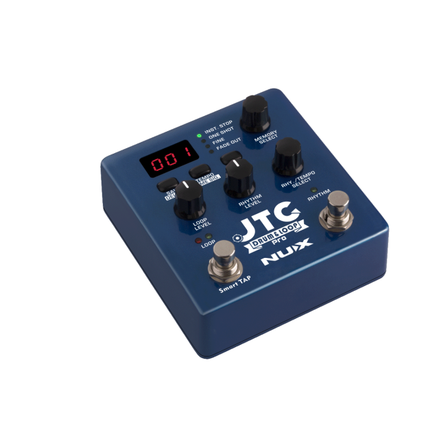 Dual Switch Looper