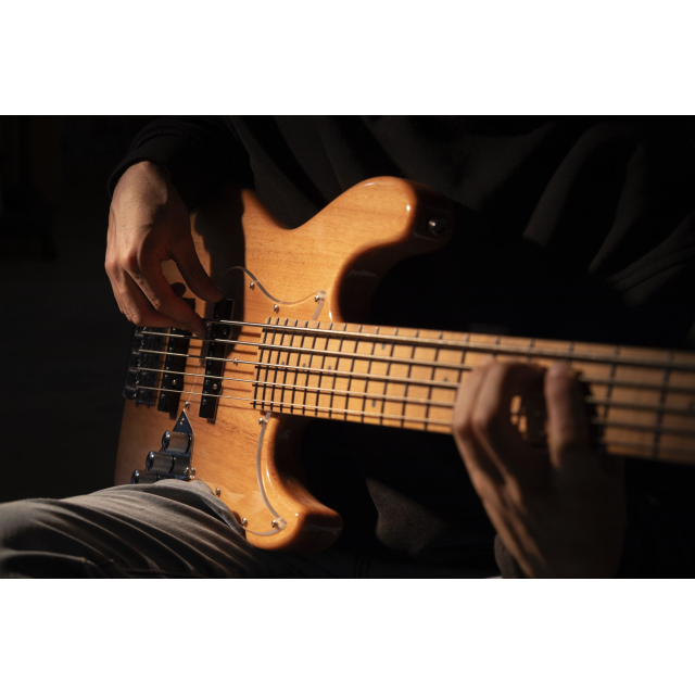 Electric bass with roasted maple freboard and neck (5 strings)