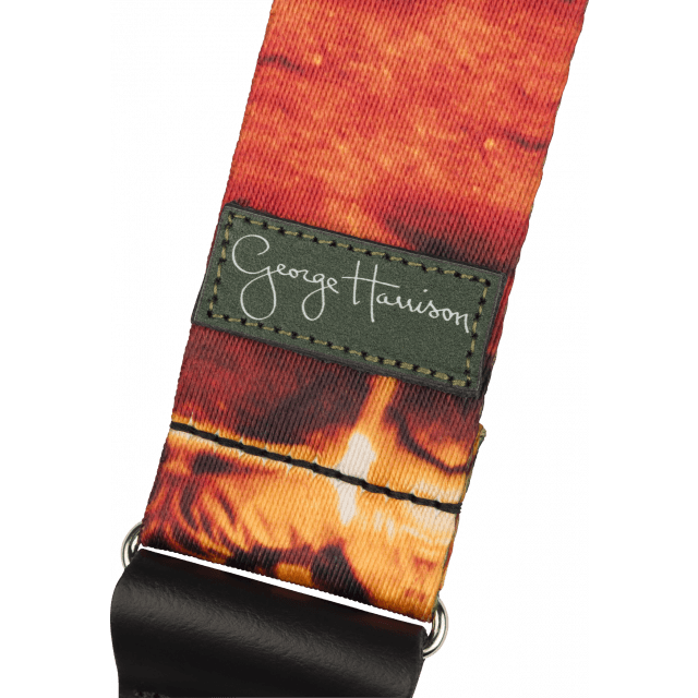 George Harrison All Things Must Pass Friar Park MultiColor