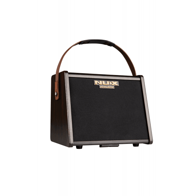 Battery Powered Acoustic Guitar Amplifier (25W RMS)