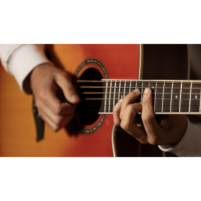 Cutaway acoustic guitar with preamp