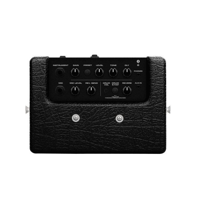 Portable combo for guitar and bass