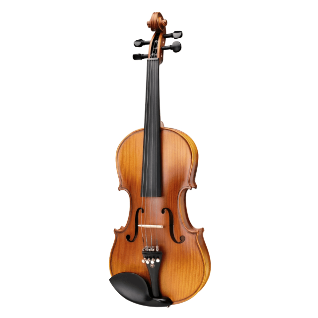 Violino  3/4 Virtuoso Student Plus completo di astuccio e archetto