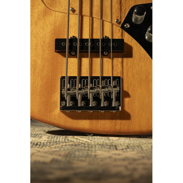 Electric bass with roasted maple freboard and neck (5 strings)