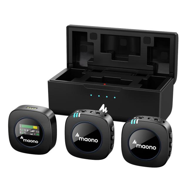 Sistema a doppio microfono wireless AU-WM821
