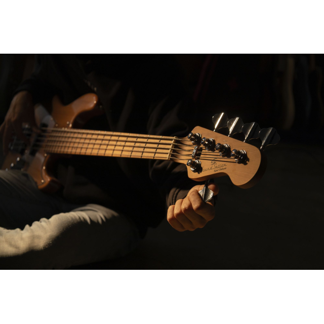Electric bass with roasted maple freboard and neck (4 strings)