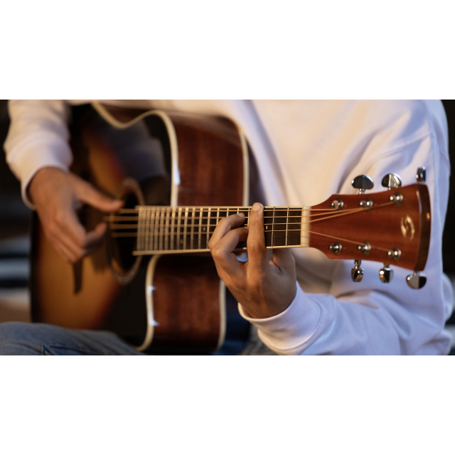 Cutaway acoustic guitar with preamp